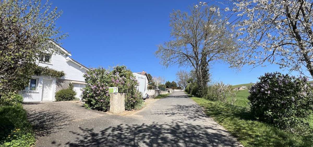Rue des chênes bordée d'arbres en fleurs à droite et de maisons à gauche, ciel bleu intense  au printemps.