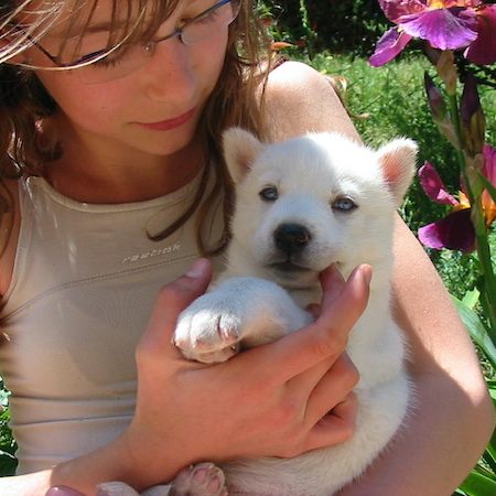 Des petits sont nés de Tlou pour le bonheur de tous Fillette portant un bébé husky blanc