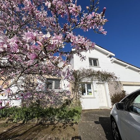 Vue sur une maison blanche avec magnolia fleuri devant et ciel bleu intense