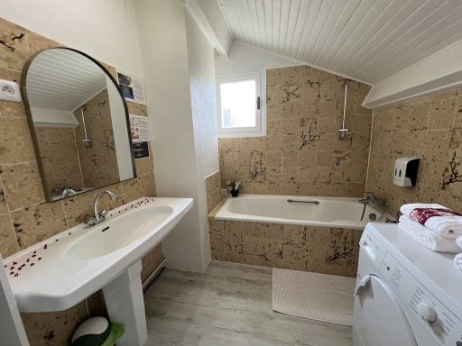 Vue générale vasque et baignoire douche de la chambre